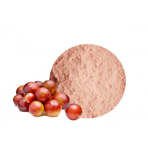 Camu Camu Powder 150g - Image 2