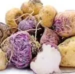 yellow, red,black, purple maca