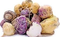 Raw Black, Red, and Yellow Maca Root tubers together, freshly harvested from the Peruvian Andes